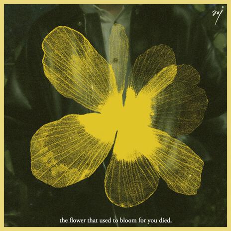 Dead flowers | Boomplay Music