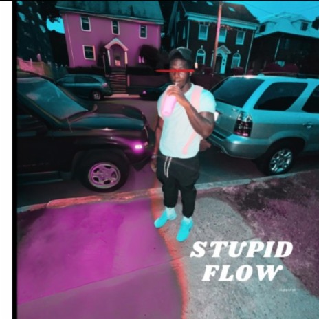 Stupid Flow | Boomplay Music