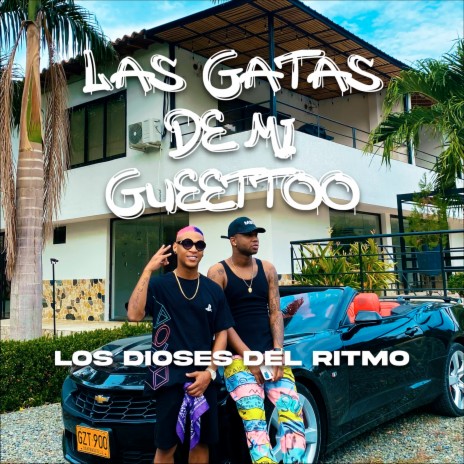 Las Gatas De Mi Gueettoo | Boomplay Music