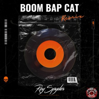 Boom Bap Cat (Remix)