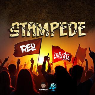 Stampede