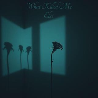 What Killed Me lyrics | Boomplay Music