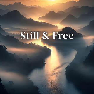 Still & Free