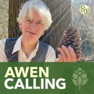 Awen Calling: A Druid Awakening