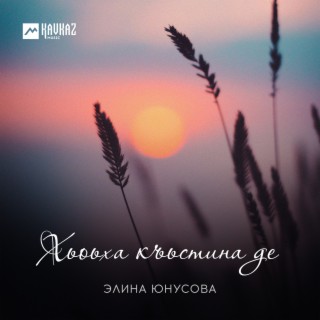 Хьоьха къьстина де