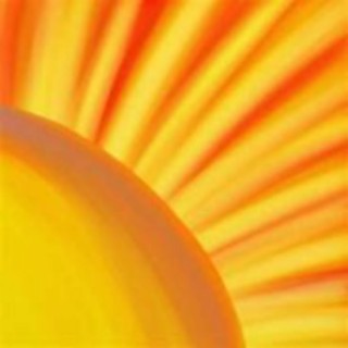 The Sun Sux and So do You! lyrics | Boomplay Music
