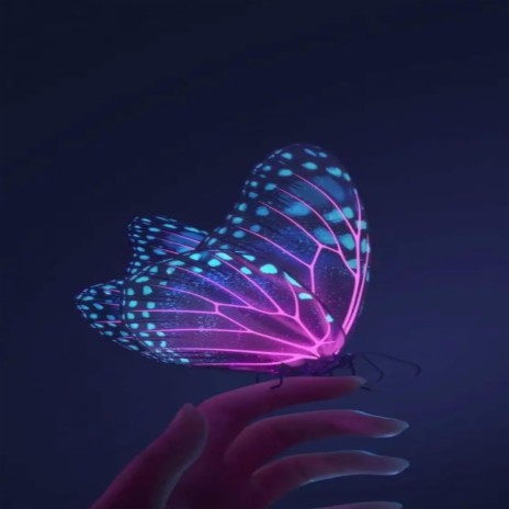 papillon | Boomplay Music