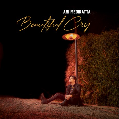 Beautiful Cry | Boomplay Music
