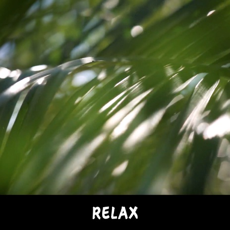 Relax | Boomplay Music