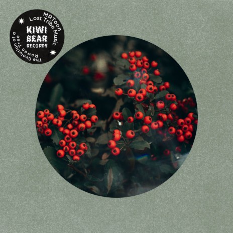 The Evolution of a Rowan Tree ft. Lost Tribe Music | Boomplay Music