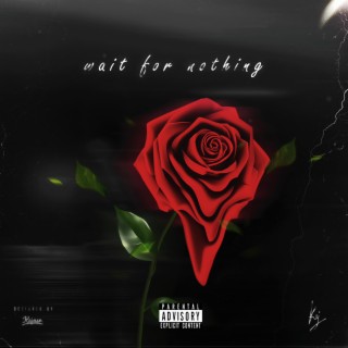 Wait for Nothing lyrics | Boomplay Music