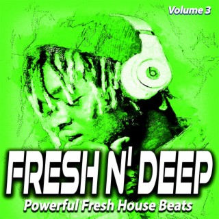 Fresh N' Deep, Vol.3 - Powerful Fresh House Beats