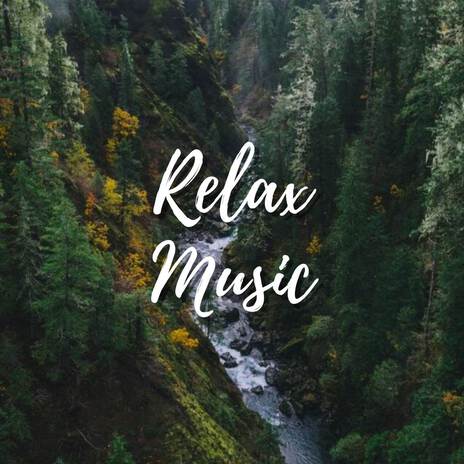 Calming Sleep Music | Boomplay Music