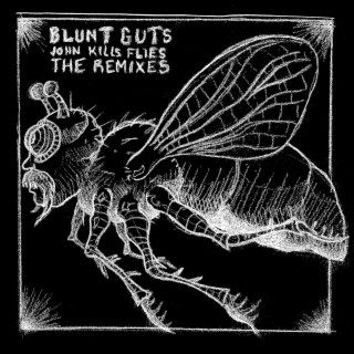 John Kills Flies (The Remixes)