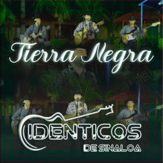 TIERRA NEGRA