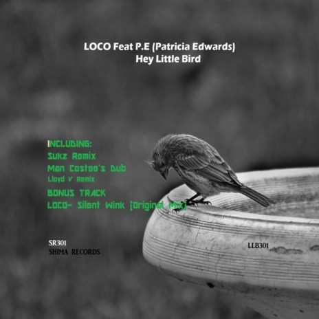 Hey Little Bird (Sukz Remix) ft. P.E | Boomplay Music
