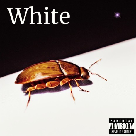 White | Boomplay Music