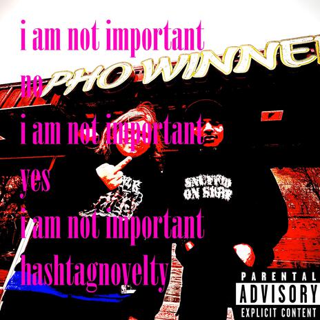 i am not important | Boomplay Music