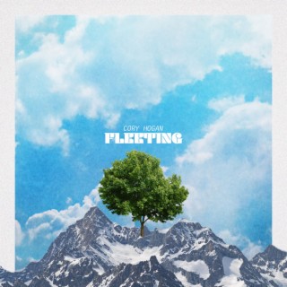 Fleeting