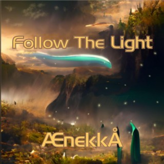 Follow The Light