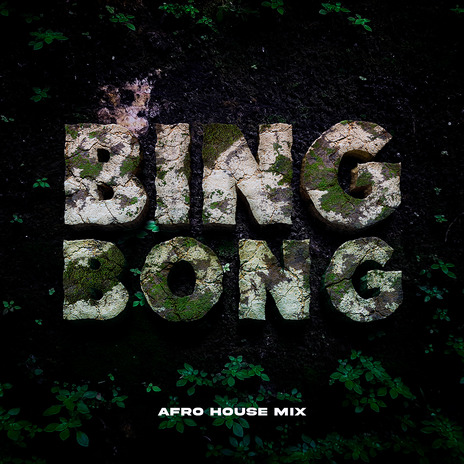 Bing Bong | Boomplay Music