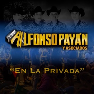 Alfonso Payan y Asociados