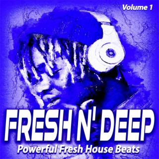 Fresh N' Deep, Vol.1 - Powerful Fresh House Beats