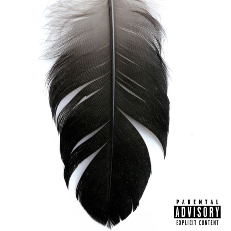 Feathers | Boomplay Music