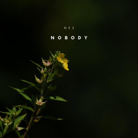 Nobody | Boomplay Music