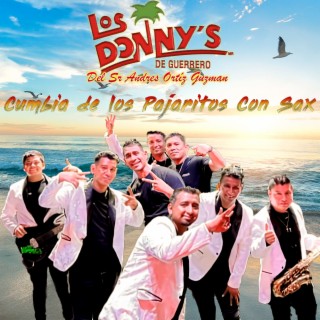 Cumbia de los Pajaritos Con Sax (En vivo)