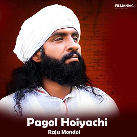 Pagol Hoiyachi | Boomplay Music