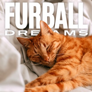 Furball Dreams