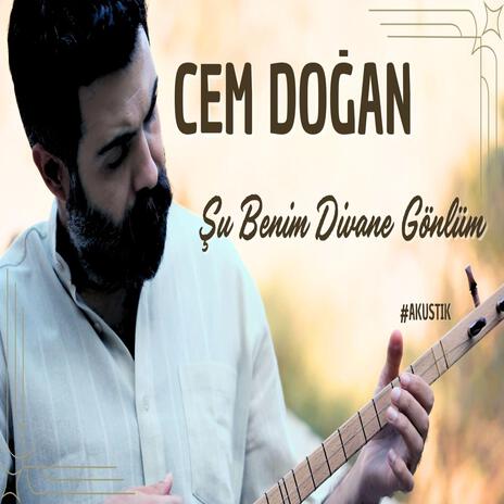 Şu Benim Divane Gönlüm | Boomplay Music