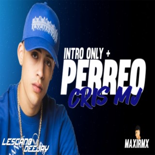 INTRO ONLY + PERREO CRIS MJ