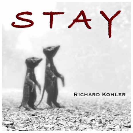 Stay | Boomplay Music