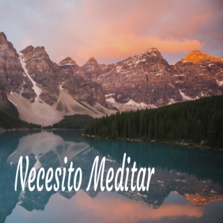 Necesito Meditar