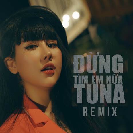 Đừng Tìm Em Nửa Remix | Boomplay Music