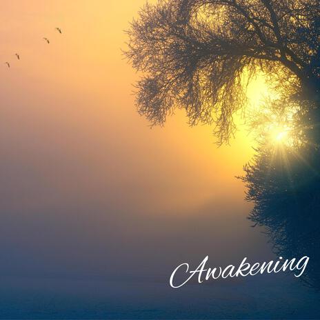 Awakening | Boomplay Music