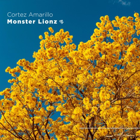Cortez Amarillo | Boomplay Music