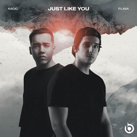 Just Like You ft. P.LIMA | Boomplay Music