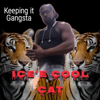 Keeping it Gangsta (Radio Edit)
