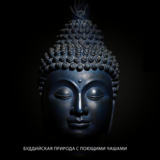 Буддийская природа с поющими чашами: Расслабляющая дзен-музыка для медитации и душевного спокойствия