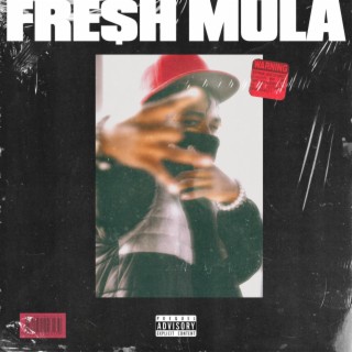 Fresh Mula EP
