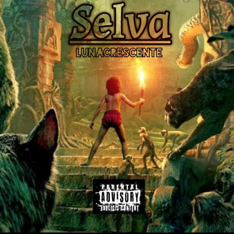 Selva | Boomplay Music