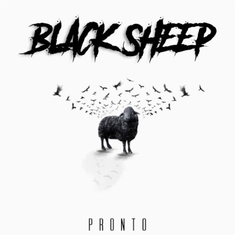 Black Sheep | Boomplay Music