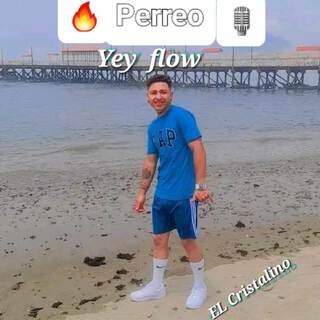 PERREO lyrics | Boomplay Music