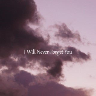 I Will Never Forget You (Dreamer's Promise)