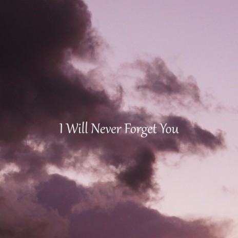 I Will Never Forget You (Dreamer's Promise) | Boomplay Music