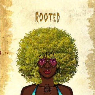 Rooted