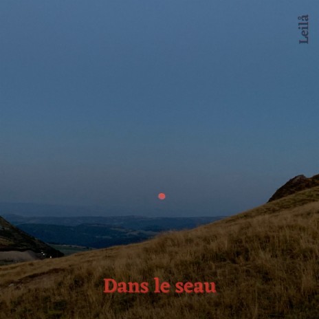 Dans Le Seau | Boomplay Music